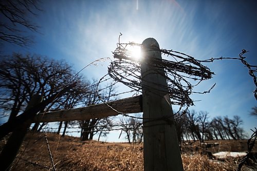Sunbeams shine between rings of barbed wire that were hung upon a fence post in a field east of Brandon. (Matt Goerzen/The Brandon Sun)