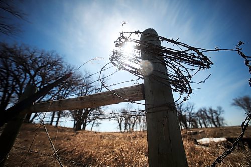Sunbeams shine between rings of barbed wire that were hung upon a fence post in a field east of Brandon. (Matt Goerzen/The Brandon Sun)