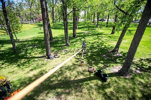 MIKAELA MACKENZIE / WINNIPEG FREE PRESS

Jesse Antonation pulls the photographer for a preview of the tree-climber rope &quot;swing&quot; at Arbor Day, which is taking place on Saturday, in Kildonan Park in Winnipeg on Friday, June 3, 2022. For --- story.
Winnipeg Free Press 2022.