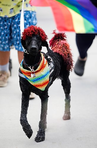 JOHN WOODS / WINNIPEG FREE PRESS
Prince takes part in the Pride Parade in downtown Winnipeg Sunday, June 5, 2022. 

Re: gabby