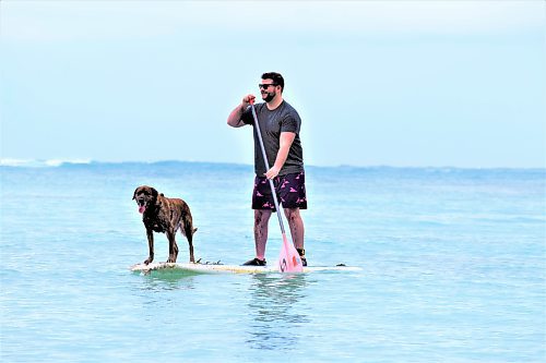 Photos by Steve MacNaull / Winnipeg Free Press
Alex MacNaull stand-up paddleboards with Kahuna, one of the canine guides with Hawaii Surf Dogs.