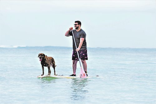 Photos by Steve MacNaull / Winnipeg Free Press
Alex MacNaull stand-up paddleboards with Kahuna, one of the canine guides with Hawaii Surf Dogs.