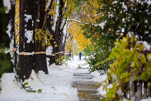 MIKAELA MACKENZIE / WINNIPEG FREE PRESS

People shovel the wet, heavy snow from the sidewalks in Wolseley in Winnipeg on Saturday, Oct. 12, 2019.

Winnipeg Free Press 2019.