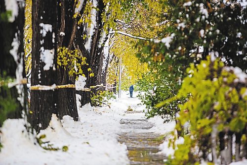 MIKAELA MACKENZIE / WINNIPEG FREE PRESS

People shovel the wet, heavy snow from the sidewalks in Wolseley in Winnipeg on Saturday, Oct. 12, 2019.

Winnipeg Free Press 2019.