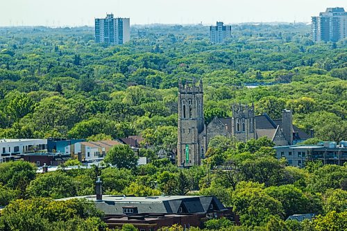 MIKAELA MACKENZIE / WINNIPEG FREE PRESS







The tree canopy and Westminster United Church, as seen from the Woodsworth Building, in Winnipeg on Wednesday, Aug. 19, 2020. For Gabrielle Piche story.



Winnipeg Free Press 2020.