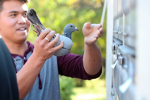 SHANNON VANRAES/WINNIPEG FREE PRESS

New racer Brix Del Carmen loads a pigeon into a travel trailer on October 16, 2021.