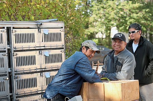 SHANNON VANRAES/WINNIPEG FREE PRESS

Robert Hernandez smiles as his friend Mariano reaches for a racing pigeon on October 16 2021.