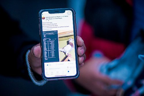 MIKAELA MACKENZIE / WINNIPEG FREE PRESS



Alan Reyes shows off the results for a long-distance race where one of their pigeons made it into the top ten at the Team Reyes loft in Winnipeg on Friday, Nov. 26, 2021. For Ben Waldman story.

Winnipeg Free Press 2021.