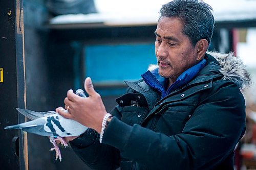 MIKAELA MACKENZIE / WINNIPEG FREE PRESS



Alan Reyes poses for a portrait with a racing pigeon at the Team Reyes loft in Winnipeg on Friday, Nov. 26, 2021. For Ben Waldman story.

Winnipeg Free Press 2021.