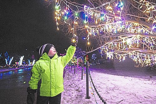 Mike Sudoma / Winnipeg Free Press
Kaiden Bockstael reaches for a string of lights hanging from a tree at the Zoo Lights at the Assiniboine Park Zoo Friday night
November 26, 2021