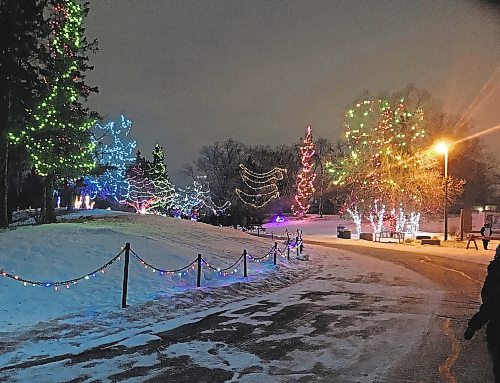  Ron Pradinuk/Winnipeg Free Press                              
Dazzling light displays like those found at the Assiniboine Park Zoo attract thousands during the Holiday Season.
