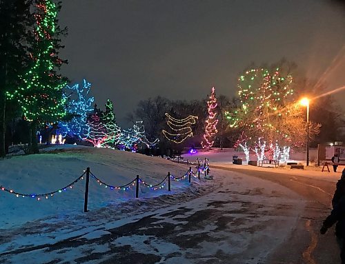  Ron Pradinuk/Winnipeg Free Press                              
Dazzling light displays like those found at the Assiniboine Park Zoo attract thousands during the Holiday Season.
