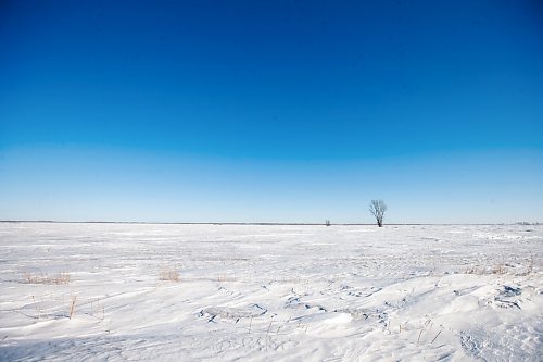 MIKAELA MACKENZIE / WINNIPEG FREE PRESS



Snowy fields near the Canada/US border about 10km east of Emerson on Thursday, Jan. 20, 2022. Two adults, one teenager, and one infant were found deceased in the area. For Chris Kitching story.

Winnipeg Free Press 2022.