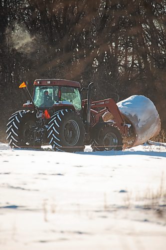 A tractor moves a hay bale off of Highway 10 on Jan. 19. (Chelsea Kemp/The Brandon Sun)