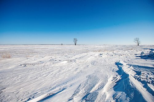 MIKAELA MACKENZIE / WINNIPEG FREE PRESS



Snowy fields near the Canada/US border about 10km east of Emerson on Thursday, Jan. 20, 2022. Two adults, one teenager, and one infant were found deceased in the area. For Chris Kitching story.

Winnipeg Free Press 2022.