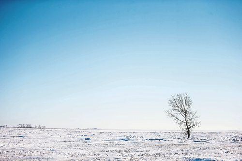 MIKAELA MACKENZIE / WINNIPEG FREE PRESS

Snowy fields near the Canada/US border about 10km east of Emerson on Thursday, Jan. 20, 2022. Two adults, one teenager, and one infant were found deceased in the area. For Chris Kitching story.
Winnipeg Free Press 2022.