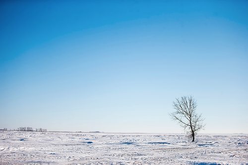 MIKAELA MACKENZIE / WINNIPEG FREE PRESS

Snowy fields near the Canada/US border about 10km east of Emerson on Thursday, Jan. 20, 2022. Two adults, one teenager, and one infant were found deceased in the area. For Chris Kitching story.
Winnipeg Free Press 2022.