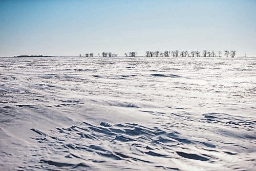 MIKAELA MACKENZIE / WINNIPEG FREE PRESS



Snowy fields near the Canada/US border about 10km east of Emerson on Thursday, Jan. 20, 2022. Two adults, one teenager, and one infant were found deceased in the area. For Chris Kitching story.

Winnipeg Free Press 2022.