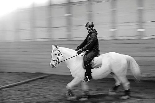 27012022
A rider trains with Goldie, a Hanoverian Cross,  at Phoenix Ranch Boarding Stables &amp; Equestrian Centre south of Brandon on Thursday for this weekends Behlen Industries LP Icicle Schooling Show, presented by Westman Dressage. (Tim Smith/The Brandon Sun)
***Rider didn't want his name used***