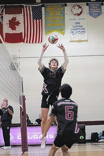 Brandon Sun Assiniboine Cougars Noah Barcellona sets against the Providence Pilots during their Manitoba Colleges Athletic Conference men's volleyball match at ACC on Friday. (Thomas Friesen/The Brandon Sun)