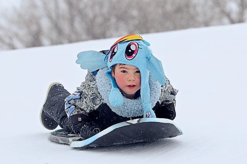 John Murphy, 3, sleds down Hanbury Hill in Brandon on a mild Monday afternoon.  (Tim Smith/The Brandon Sun)
