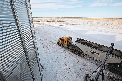 Brandon Sun 24112021

Lydia Elliott with Spud Plains Farms fills her truck with canola from a grain bin southwest of Rivers so she can haul it to a facility in Carberry on a cold Wednesday. (Tim Smith/The Brandon Sun)