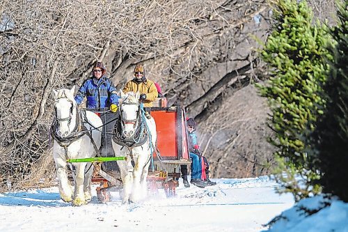 Daniel Crump / Winnipeg Free Press. Visitors to Festival du Voyageur take a sleigh ride around Whittier Park Saturday afternoon. February 15, 2020.