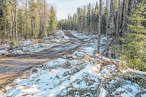 WILDERNESS COMMITTEE 



The forestry management license for Louisiana-Pacific in Duck Mountain Provincial Park was extended for two years, keeping it as the only provincial park in Manitoba where logging is permitted.

- for Ben Waldman story / Winnipeg Free Press 2019