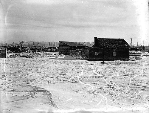 Rooster Town, March 1959
Gerry Cairns / Winnipeg Free Press Collection, Archives of Manitoba
4 March 1959