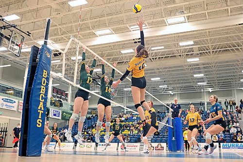 Keely Anderson of the Brandon Bobcats leaps to put the ball over the net during university women’s volleyball action against the University of Regina Cougars at the BU Healthy Living Centre on Friday evening. (Tim Smith/The Brandon Sun)