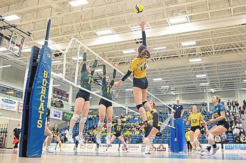 25022022
Keely Anderson of the Brandon Bobcats leaps to put the ball over the net during university women’s volleyball action against the University of Regina Cougars at the BU Healthy Living Centre on Friday evening. (Tim Smith/The Brandon Sun)