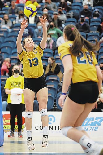 25022022
Jamie Bain of the Brandon Bobcats sets the ball during university women&#x573; volleyball action against the University of Regina Cougars at the BU Healthy Living Centre on Friday evening. (Tim Smith/The Brandon Sun)