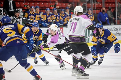 Rylen Roersma of the Brandon Wheat Kings plays the puck during WHL action against the Saskatoon Blades at Westoba Place on Friday evening. (Tim Smith/The Brandon Sun)