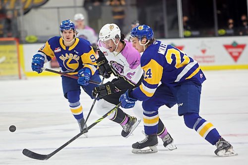 Landon Roberts of the Brandon Wheat Kings plays the puck past Tanner Molendyk of the Saskatoon Blades during WHL action at Westoba Place on Friday evening. (Tim Smith/The Brandon Sun)