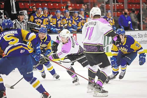 25022022
Rylen Roersma #11 of the Brandon Wheat Kings plays the puck during WHL action against the Saskatoon Blades at Westoba Place on Friday evening. (Tim Smith/The Brandon Sun)