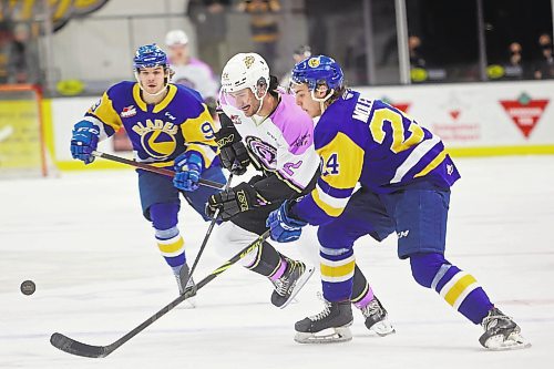 25022022
Landon Roberts #22 of the Brandon Wheat Kings plays the puck past Tanner Molendyk #24 of the Saskatoon Blades during WHL action at Westoba Place on Friday evening. (Tim Smith/The Brandon Sun)