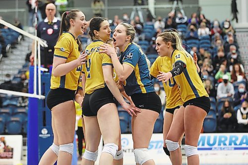 25022022
Brandon Bobcats players celebrate a point during university women&#x573; volleyball action against the University of Regina Cougars at the BU Healthy Living Centre on Friday evening. (Tim Smith/The Brandon Sun)