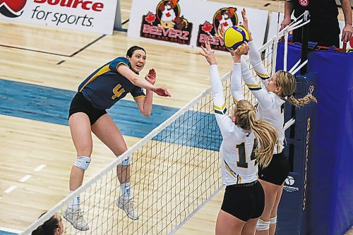 Brandon University Bobcats Rayvn Wiebe takes on the University of Regina Cougars Devyn Grimsrud, left, Nya Chiek and Claire Sheppard in a Canada West women&#x573; volleyball game at the Healthy Living Centre Saturday. (Chelsea Kemp/The Brandon Sun)