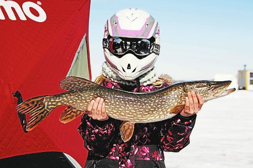 Charlee Flickweert, 8, holds the pike she caught in the Jigging for Jacks Ice Fishing Derby before it was released back into the wild. She won first place in the youth division. (Photos by Karen McKinley/The Brandon Sun)