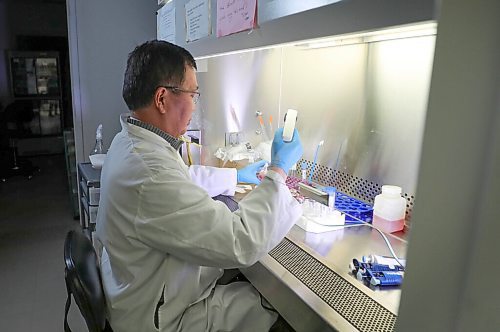 RUTH BONNEVILLE  /  WINNIPEG FREE PRESS 





Local -  Vaccine,  XiaoJian Yao





Photos of XiaoJian Yao, by himself, working in his research lab performing experiments aimed to check the expression of the RBD derived from COVID-19 spike protein in cells at the Dept. of Medical Microbiology Max Rady College of Medicine on Friday.&#xa0;



University of Manitoba professor Xiao-Jian Yao is leading a team of researchers in the fight against COVID-19. Yao and his research team are employing patented university technology that showed some efficacy in the fight against SARS to develop a vaccine, or vaccine components, for COVID-19 with funding from the federal government.



Profile on Yao, his background, past academic pursuits and learn how the professor, who started his academic career in China, is at the forefront of coronavirus research here in Winnipeg.



Danielle Da Silva - Reporter 



March 27th, 2020