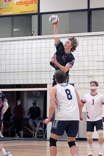 Assiniboine Cougars Carter Beattie was named Manitoba Colleges Athletic Conference men's volleyball co-MVP on Thursday. ACC plays the other co-MVP Austin Anderson and Providence in the semifinals at ACC on Saturday. (Thomas Friesen/The Brandon Sun)