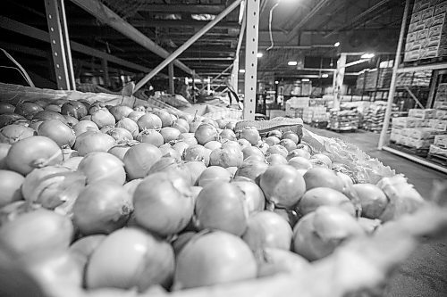 MIKAELA MACKENZIE / WINNIPEG FREE PRESS



Onions in the CEO of Peak of the Market warehouse in Winnipeg on Friday, March 4, 2022. The province introduced new legislation that will end quotas on potato and root vegetable production in Manitoba and allow Peak of the Market to greatly expand its market reach across Canada and into the U.S. For --- story.

Winnipeg Free Press 2022.