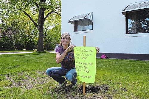 Chris Kitching / Winnipeg Free Press
Portage la Prairie resident Chris Gibson has put up a sign warning "karma will come back to you" after a flowering plum tree she planted in memory of her late parents disappeared over the weekend. A flowering plum tree, which is similar to the one that is missing, stands in Chris Gibson's front yard in Portage la Prairie. She planted two trees in memory of her late parents in 2018. 
