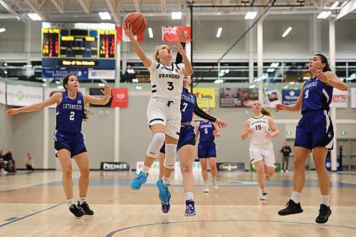 18112022
Piper Ingalls #3 of the Brandon Bobcats leaps to take a shot on the net during university women’s basketball action against the University of Lethbridge Pronghorns at the BU Healthy Living Centre on Friday evening. (Tim Smith/The Brandon Sun)