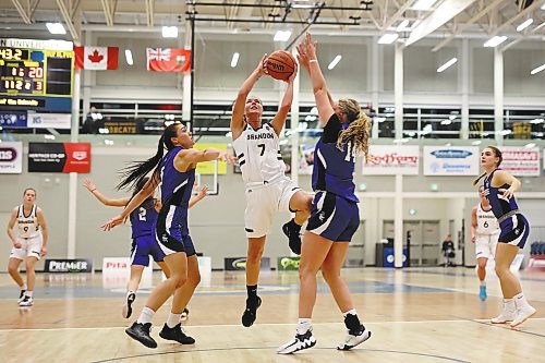 18112022
Reetta Tulkki #7 of the Brandon Bobcats leaps to take a shot on the net during university women&#x2019;s basketball action against the University of Lethbridge Pronghorns at the BU Healthy Living Centre on Friday evening. (Tim Smith/The Brandon Sun)