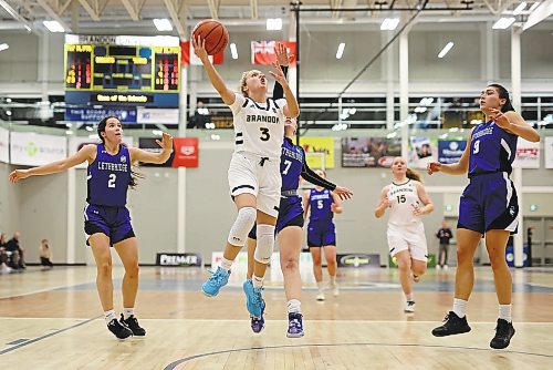 18112022
Piper Ingalls #3 of the Brandon Bobcats leaps to take a shot on the net during university women’s basketball action against the University of Lethbridge Pronghorns at the BU Healthy Living Centre on Friday evening. (Tim Smith/The Brandon Sun)