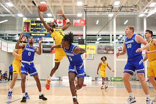 Anthony Tsegakele #7 of the Brandon Bobcats catches the rebound during university men’s basketball action against the University of Lethbridge Pronghorns at the BU Healthy Living Centre on Friday evening. (Photos by Tim Smith/The Brandon Sun)