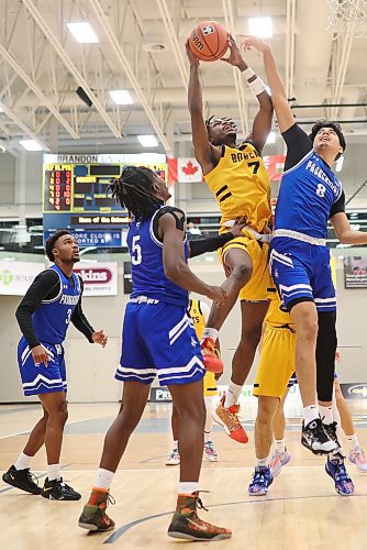 
Anthony Tsegakele #7 of the Brandon Bobcats leaps to take a shot on the net as Jack-Henry Fox-Grey #8 of the University of Lethbridge Pronghorns tries to block the shot  during university men’s basketball action at the BU Healthy Living Centre on Friday evening. (Tim Smith/The Brandon Sun)