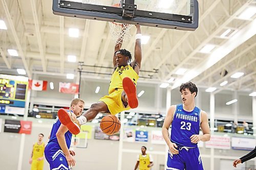 18112022
Anthony Tsegakele #7 of the Brandon Bobcats hangs from the net after dunking the ball during university men&#x2019;s basketball action against the University of Lethbridge Pronghorns at the BU Healthy Living Centre on Friday evening. (Tim Smith/The Brandon Sun)