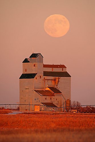 December's full moon, known as the cold moon, long night moon, or moon before Yule, rises to the northeast behind the Harte elevator on a crisp and clear late Wednesday afternoon. (Tim Smith/The Brandon Sun)